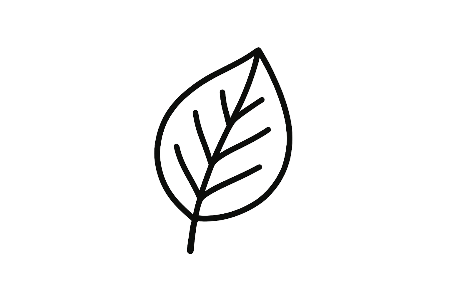 leaf icon black outline only